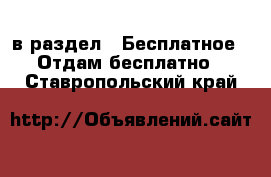  в раздел : Бесплатное » Отдам бесплатно . Ставропольский край